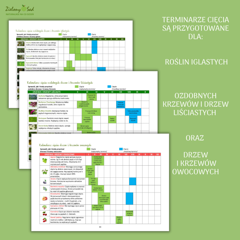 Pakiet M J Ogr D Kalendarz Ogrodnika Z Terminarzami Planer Pdf