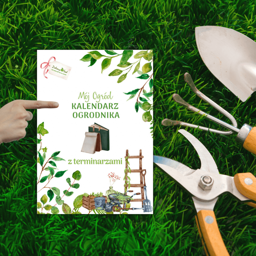 Kalendarz ogrodnika z terminarzami siewu, sadzenia i cięcia roślin