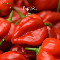 Papryka ostra Habanero Red ekologiczna