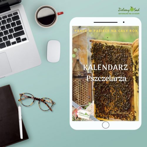 eBook Kalendarz Pszczelarza Cały rok w pasiece