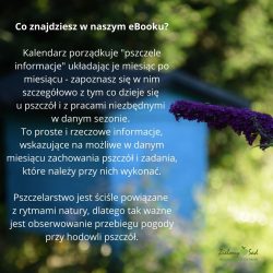 e-Book Kalendarz Pszczelarza Cały rok w pasiece