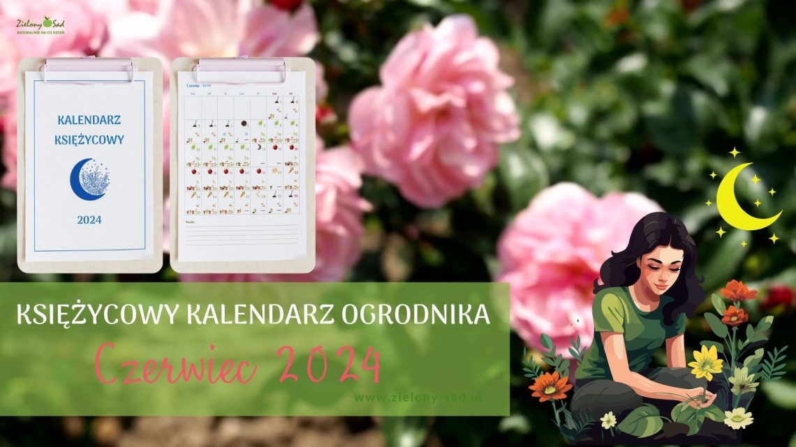 Księżycowy kalendarz ogrodnika Czerwiec 2024