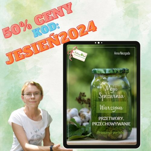 Moja spiżarnia Warzywa Przetwory, przechowywanie Przepisy i porady eBook PDF Anna Niezgoda jesienny kod rabatowy