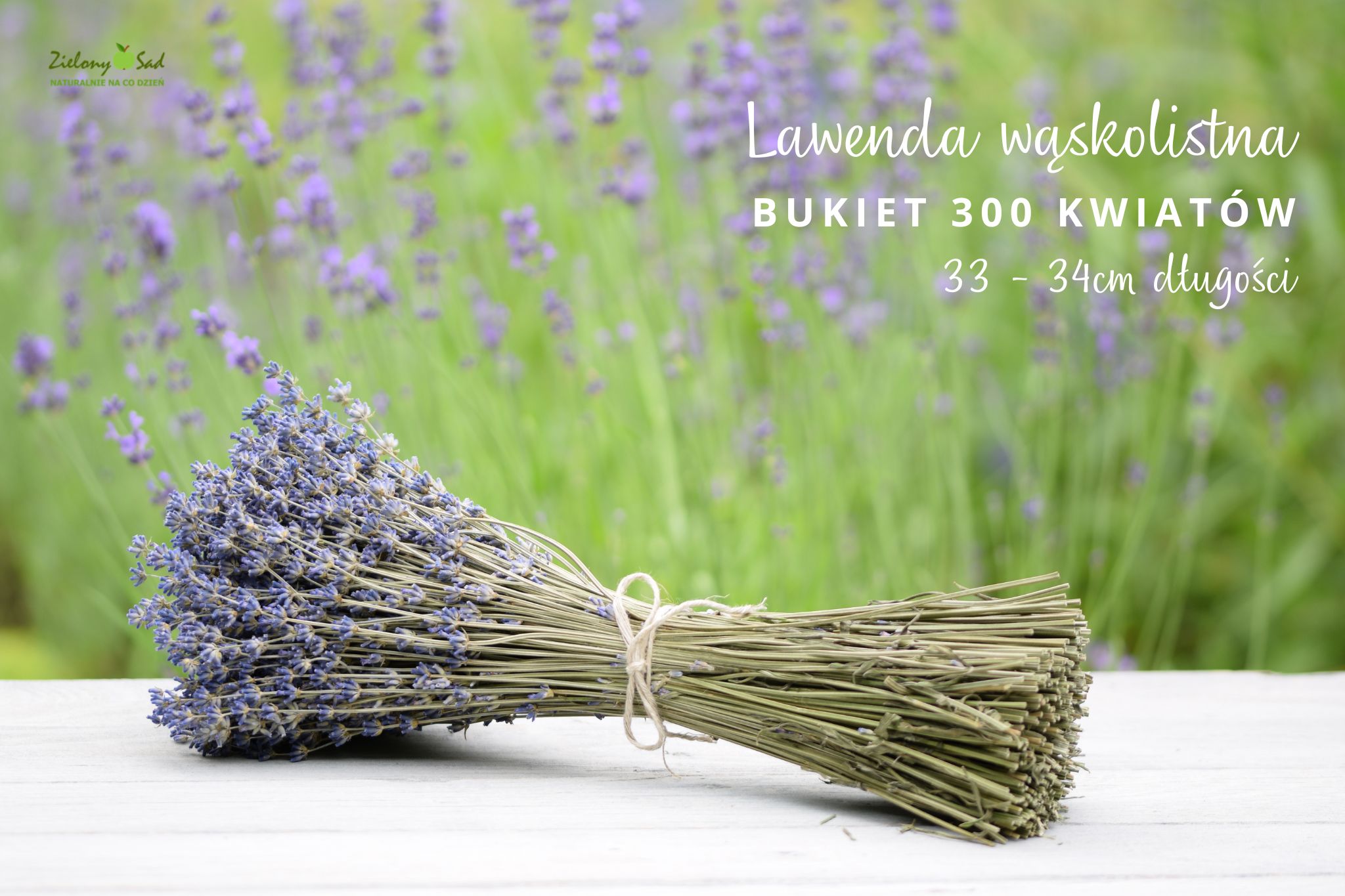 Bukiety suszonej lawendy wąskolistnej ekologicznej