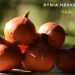 Dynia Hokkaido Uchiki Kuri ekologiczna świeża BIO
