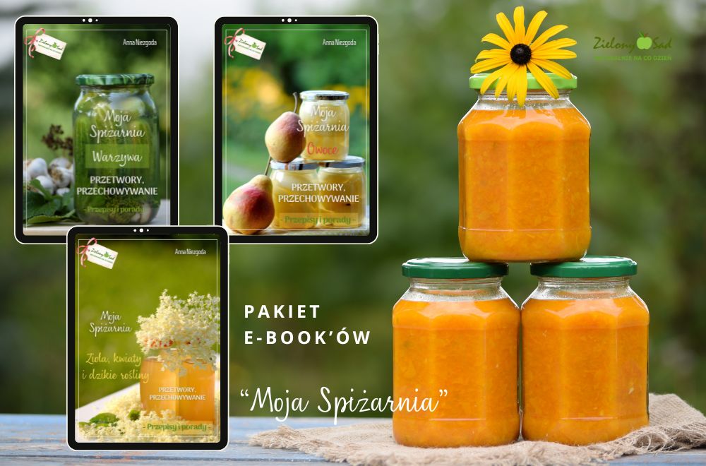 Przepisy na przetwory