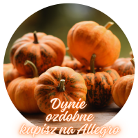 Dynie ozdobne 2026