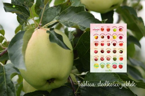 Tablica słodkości jabłek